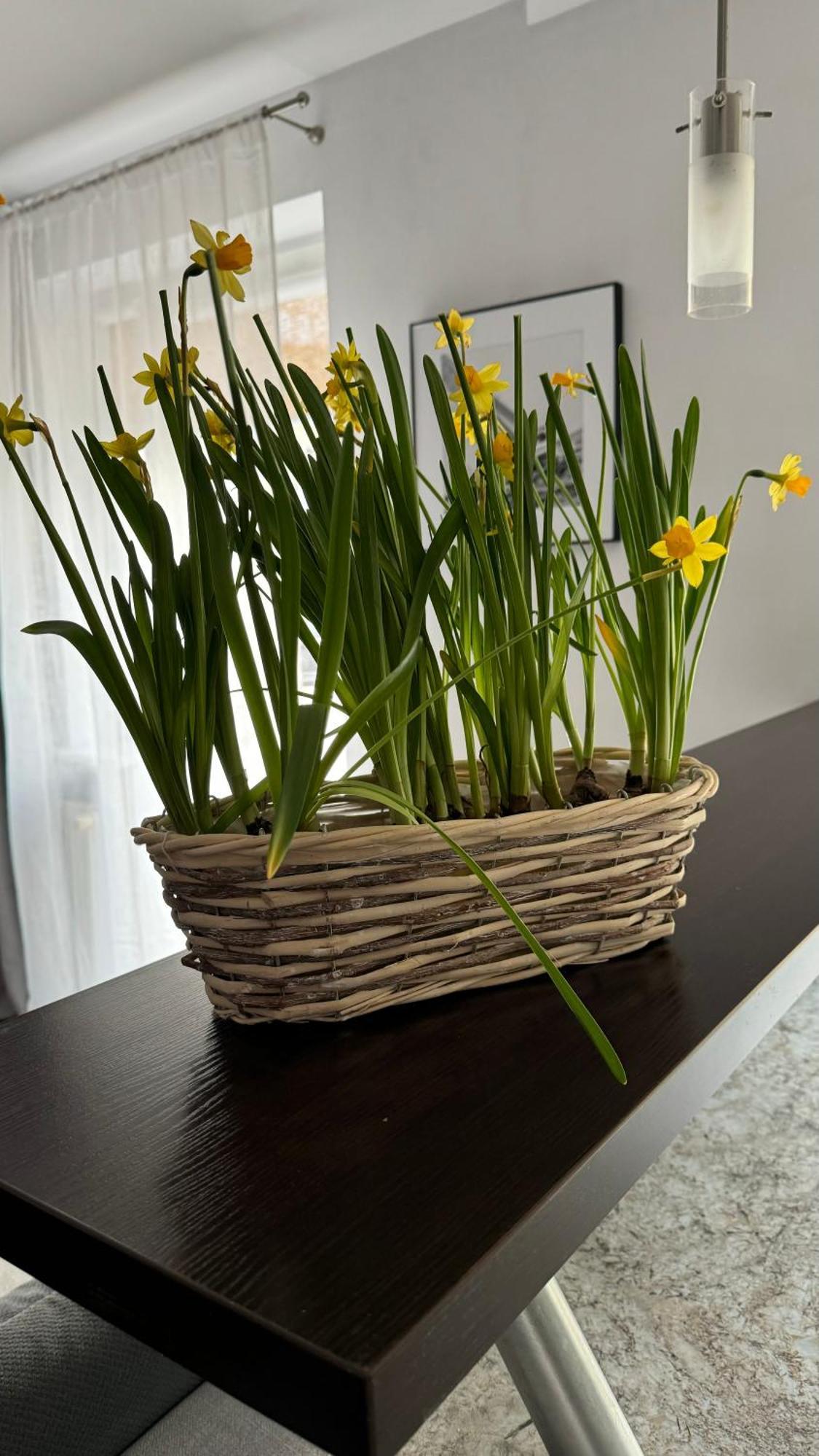 Apartment Rodzinny Kolobrzeg